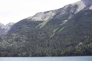 Filename=DSC_9696.jpg
Filesize=19965KiB
Dimensions=7360x4912
Date added=Sep 21, 2019 DSC_9696.jpg