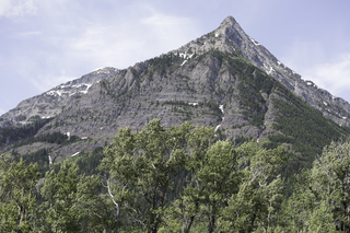 Filename=DSC_9697.jpg
Filesize=25834KiB
Dimensions=7360x4912
Date added=Sep 21, 2019 DSC_9697.jpg