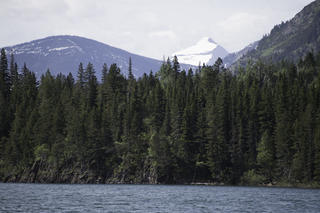 Filename=DSC_9706.jpg
Filesize=18617KiB
Dimensions=7360x4912
Date added=Sep 21, 2019 DSC_9706.jpg