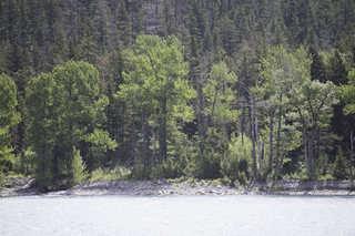 Filename=DSC_9707.jpg
Filesize=26972KiB
Dimensions=7360x4912
Date added=Sep 21, 2019 DSC_9707.jpg