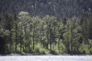 Filename=DSC_9708.jpg
Filesize=29244KiB
Dimensions=7360x4912
Date added=Sep 21, 2019 DSC_9708.jpg