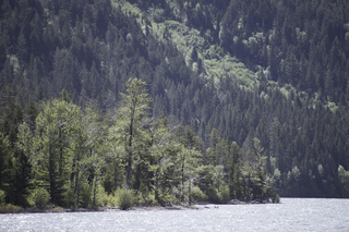 Filename=DSC_9709.jpg
Filesize=26170KiB
Dimensions=7360x4912
Date added=Sep 21, 2019 DSC_9709.jpg