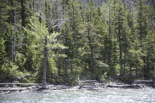 Filename=DSC_9729.jpg
Filesize=25575KiB
Dimensions=7360x4912
Date added=Sep 21, 2019 DSC_9729.jpg