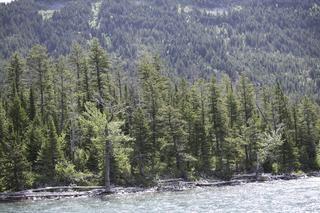 Filename=DSC_9730.jpg
Filesize=28227KiB
Dimensions=7360x4912
Date added=Sep 21, 2019 DSC_9730.jpg