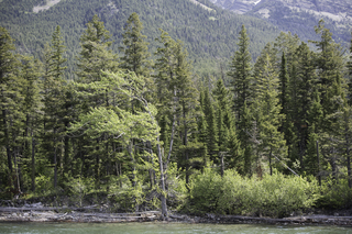 Filename=DSC_9731.jpg
Filesize=31077KiB
Dimensions=7360x4912
Date added=Sep 21, 2019 DSC_9731.jpg