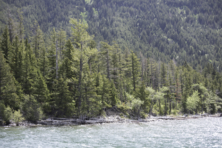 Filename=DSC_9732.jpg
Filesize=30171KiB
Dimensions=7360x4912
Date added=Sep 21, 2019 DSC_9732.jpg