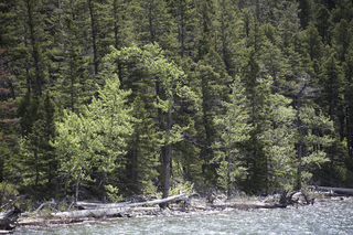 Filename=DSC_9734.jpg
Filesize=32071KiB
Dimensions=7360x4912
Date added=Sep 21, 2019 DSC_9734.jpg