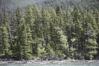 Filename=DSC_9741.jpg
Filesize=26172KiB
Dimensions=7360x4912
Date added=Sep 21, 2019 DSC_9741.jpg