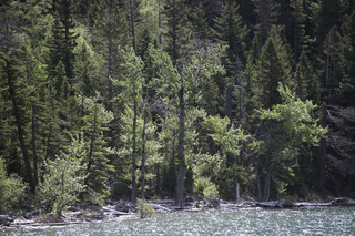 Filename=DSC_9742.jpg
Filesize=30112KiB
Dimensions=7360x4912
Date added=Sep 21, 2019 DSC_9742.jpg