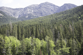 Filename=DSC_9754.jpg
Filesize=28705KiB
Dimensions=7360x4912
Date added=Sep 21, 2019 DSC_9754.jpg