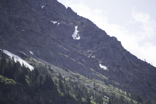 Filename=DSC_9765.jpg
Filesize=17923KiB
Dimensions=7360x4912
Date added=Sep 21, 2019 DSC_9765.jpg