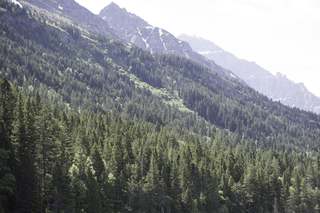 Filename=DSC_9770.jpg
Filesize=22140KiB
Dimensions=7360x4912
Date added=Sep 21, 2019 DSC_9770.jpg