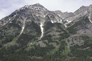 Filename=DSC_9776.jpg
Filesize=23240KiB
Dimensions=7360x4912
Date added=Sep 21, 2019 DSC_9776.jpg