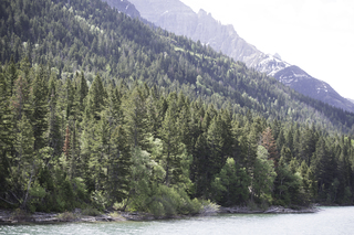 Filename=DSC_9780.jpg
Filesize=21022KiB
Dimensions=7360x4912
Date added=Sep 21, 2019 DSC_9780.jpg