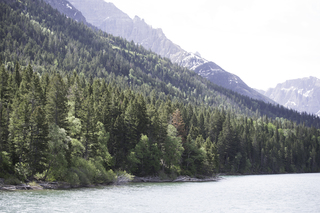 Filename=DSC_9781.jpg
Filesize=20125KiB
Dimensions=7360x4912
Date added=Sep 21, 2019 DSC_9781.jpg