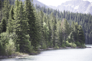 Filename=DSC_9802.jpg
Filesize=22721KiB
Dimensions=7360x4912
Date added=Sep 21, 2019 DSC_9802.jpg