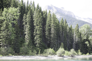 Filename=DSC_9835.jpg
Filesize=26222KiB
Dimensions=7360x4912
Date added=Sep 21, 2019 DSC_9835.jpg