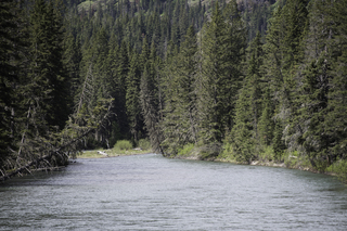 Filename=DSC_9858.jpg
Filesize=25663KiB
Dimensions=7360x4912
Date added=Sep 21, 2019 DSC_9858.jpg