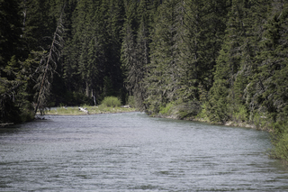 Filename=DSC_9859.jpg
Filesize=23646KiB
Dimensions=7360x4912
Date added=Sep 21, 2019 DSC_9859.jpg