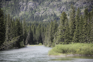 Filename=DSC_9860.jpg
Filesize=28234KiB
Dimensions=7360x4912
Date added=Sep 21, 2019 DSC_9860.jpg