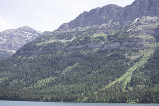 Filename=DSC_9882.jpg
Filesize=22614KiB
Dimensions=7360x4912
Date added=Sep 21, 2019 DSC_9882.jpg