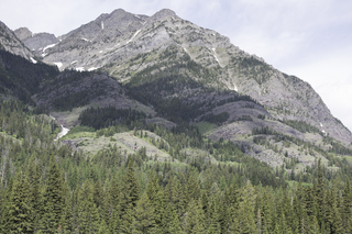 Filename=DSC_9890.jpg
Filesize=25445KiB
Dimensions=7360x4912
Date added=Sep 21, 2019 DSC_9890.jpg