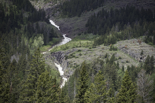 Filename=DSC_9893.jpg
Filesize=25784KiB
Dimensions=7360x4912
Date added=Sep 21, 2019 DSC_9893.jpg