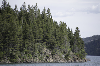 Filename=DSC_9900.jpg
Filesize=22960KiB
Dimensions=7360x4912
Date added=Sep 21, 2019 DSC_9900.jpg