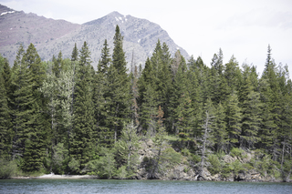 Filename=DSC_9902.jpg
Filesize=24887KiB
Dimensions=7360x4912
Date added=Sep 21, 2019 DSC_9902.jpg