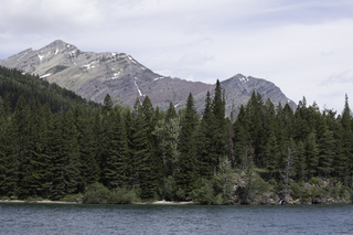 Filename=DSC_9903.jpg
Filesize=21271KiB
Dimensions=7360x4912
Date added=Sep 21, 2019 DSC_9903.jpg