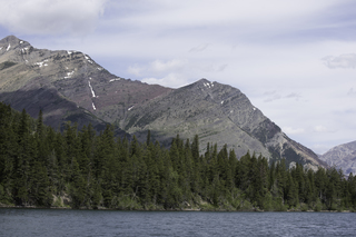 Filename=DSC_9905.jpg
Filesize=20353KiB
Dimensions=7360x4912
Date added=Sep 21, 2019 DSC_9905.jpg