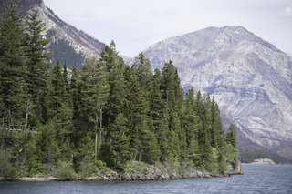 Filename=DSC_9908.jpg
Filesize=26022KiB
Dimensions=7360x4912
Date added=Sep 21, 2019 DSC_9908.jpg