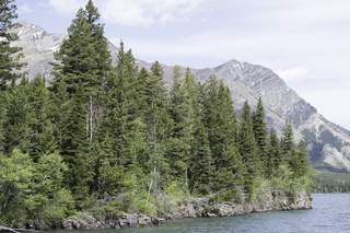 Filename=DSC_9909.jpg
Filesize=25462KiB
Dimensions=7360x4912
Date added=Sep 21, 2019 DSC_9909.jpg