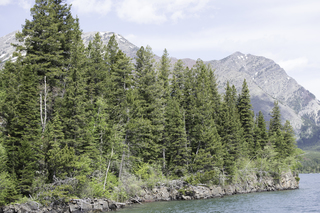 Filename=DSC_9910.jpg
Filesize=26162KiB
Dimensions=7360x4912
Date added=Sep 21, 2019 DSC_9910.jpg