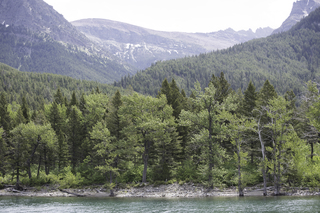 Filename=DSC_9923.jpg
Filesize=27934KiB
Dimensions=7360x4912
Date added=Sep 21, 2019 DSC_9923.jpg