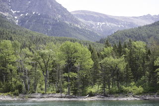 Filename=DSC_9924.jpg
Filesize=24567KiB
Dimensions=7360x4912
Date added=Sep 21, 2019 DSC_9924.jpg