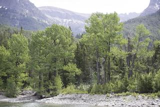 Filename=DSC_9927.jpg
Filesize=25995KiB
Dimensions=7360x4912
Date added=Sep 21, 2019 DSC_9927.jpg