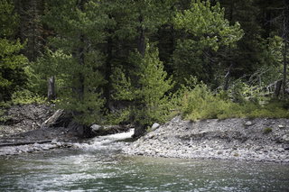 Filename=DSC_9928.jpg
Filesize=25553KiB
Dimensions=7360x4912
Date added=Sep 21, 2019 DSC_9928.jpg