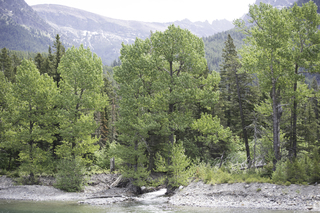 Filename=DSC_9929.jpg
Filesize=25135KiB
Dimensions=7360x4912
Date added=Sep 21, 2019 DSC_9929.jpg