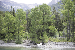 Filename=DSC_9930.jpg
Filesize=26098KiB
Dimensions=7360x4912
Date added=Sep 21, 2019 DSC_9930.jpg