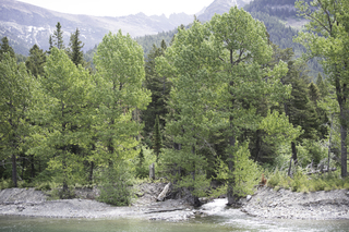 Filename=DSC_9931.jpg
Filesize=28108KiB
Dimensions=7360x4912
Date added=Sep 21, 2019 DSC_9931.jpg