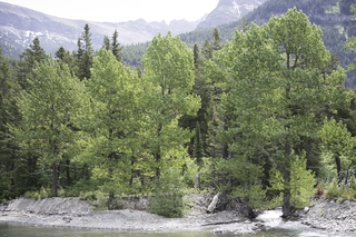 Filename=DSC_9932.jpg
Filesize=25313KiB
Dimensions=7360x4912
Date added=Sep 21, 2019 DSC_9932.jpg