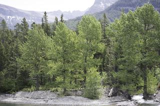 Filename=DSC_9933.jpg
Filesize=29757KiB
Dimensions=7360x4912
Date added=Sep 21, 2019 DSC_9933.jpg