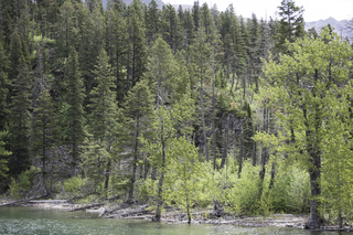 Filename=DSC_9934.jpg
Filesize=30066KiB
Dimensions=7360x4912
Date added=Sep 21, 2019 DSC_9934.jpg