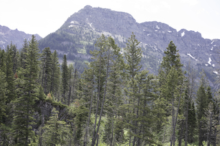 Filename=DSC_9935.jpg
Filesize=24765KiB
Dimensions=7360x4912
Date added=Sep 21, 2019 DSC_9935.jpg