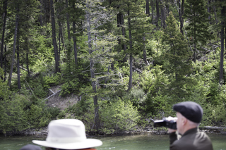 Filename=DSC_9940.jpg
Filesize=21486KiB
Dimensions=7360x4912
Date added=Sep 21, 2019 DSC_9940.jpg