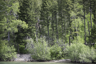 Filename=DSC_9941.jpg
Filesize=27269KiB
Dimensions=7360x4912
Date added=Sep 21, 2019 DSC_9941.jpg