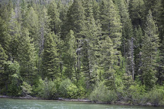 Filename=DSC_9942.jpg
Filesize=29890KiB
Dimensions=7360x4912
Date added=Sep 21, 2019 DSC_9942.jpg