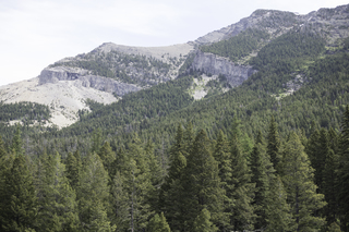 Filename=DSC_9943.jpg
Filesize=23118KiB
Dimensions=7360x4912
Date added=Sep 21, 2019 DSC_9943.jpg