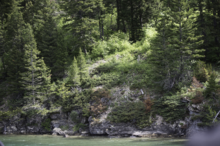 Filename=DSC_9944.jpg
Filesize=23089KiB
Dimensions=7360x4912
Date added=Sep 21, 2019 DSC_9944.jpg